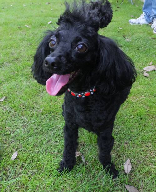 2014_08158-14ウルー