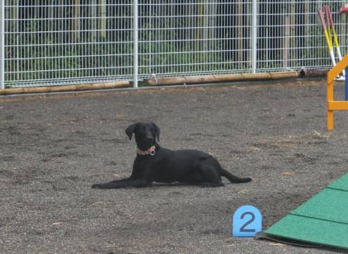 2014_08098-9ハルまて