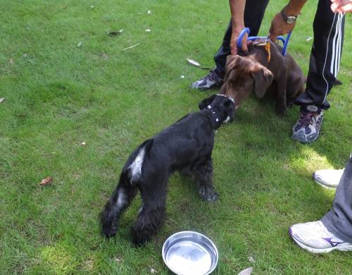 2014_08198-17ルネアとララ