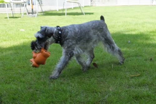 2014_08198-17クレア