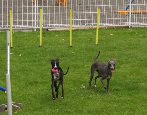 2014_08308-26モネマーブル