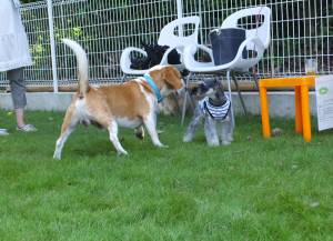 2014_08038-3ムサシクレア