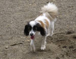 2014_08248-21ふーちゃん