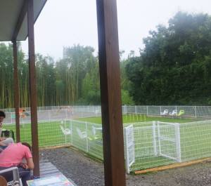 2014_08098-9アメのフィールド