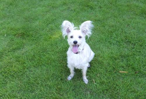 2014_08028-2小太郎