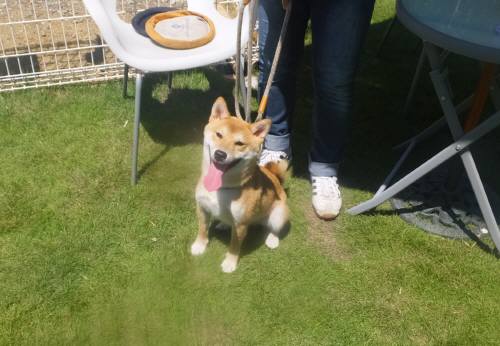 2014_08058-5太郎くん