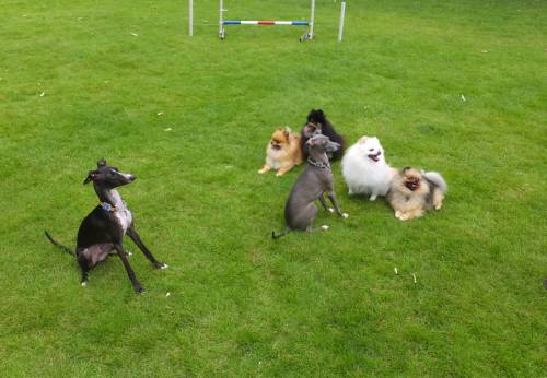 2014_08308-26エムズファミリー