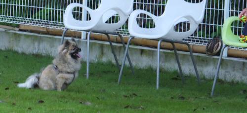 2014_08138-13ポンキチ君