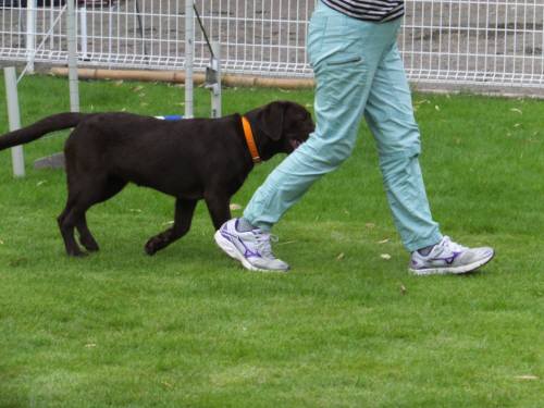 2014_08138-13ららちゃん