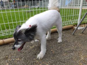 2014_08248-21らっぴーちゃん