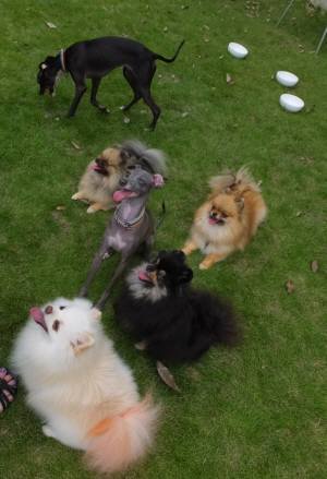 2014_08248-21Mファミリー