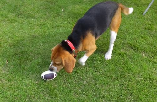 2014_08158-14ラッキー