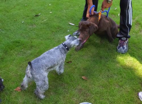 2014_08198-17クレアとララ