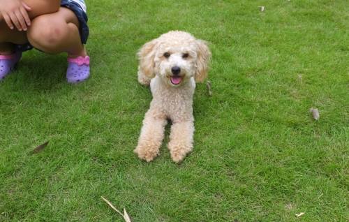 2014_08178-15ふうちゃん