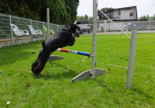 2014_08258-23ルネア