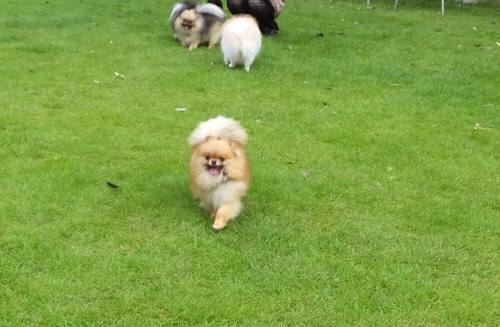 2014_08308-26マリン