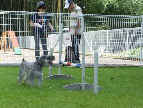 2014_08198-17ララ訓練