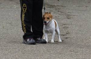 2014_08298-25チャッピー２