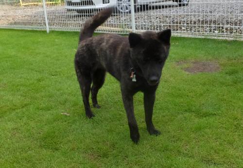 2014_08188-16さくらちゃん