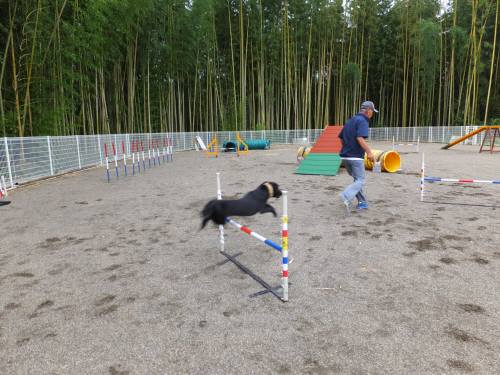 2014_08138-13ハルちゃん