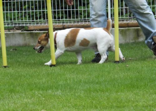 2014_08178-15チャッピースルー