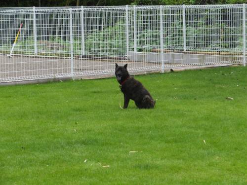 2014_08238-20さくらちゃん