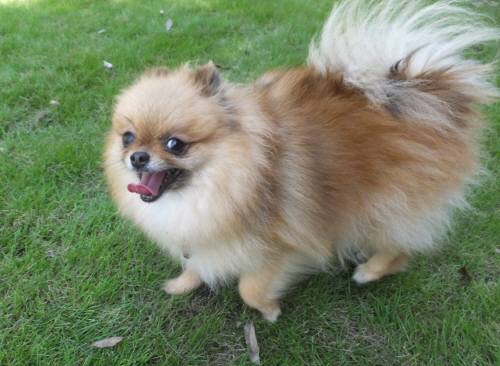 2014_08188-16マリンちゃん