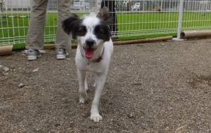 2014_08248-21バニラ