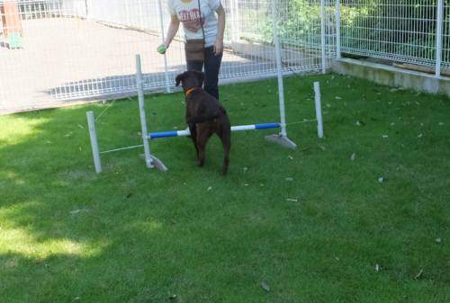 2014_08208-18ララジャンプ