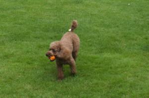 2014_08298-25ぶんちゃん