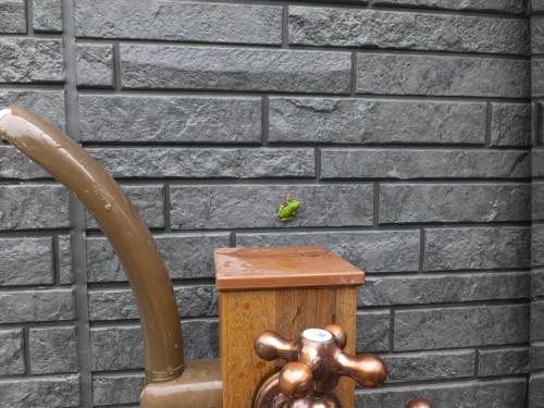 2014_08128-12かえる