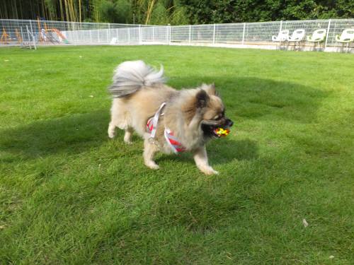 2014_08048-4ポンちゃん２