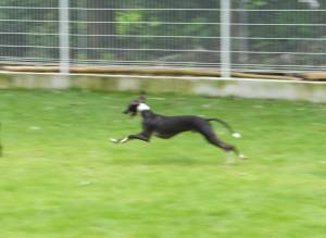 2014_08318-27バース