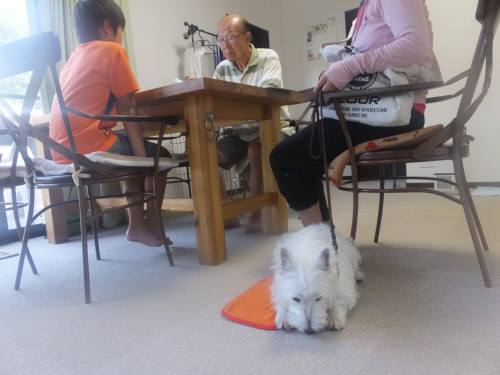 2014_08068-6モモちゃん