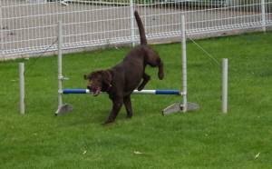 2014_08298-25ララ２