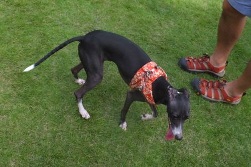 2014_08158-14バース