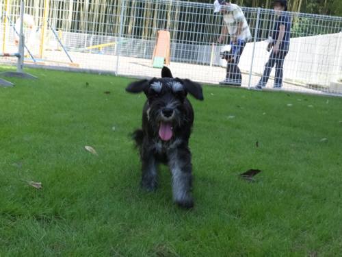 2014_08198-17ルネア