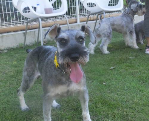 2014_08068-6タント