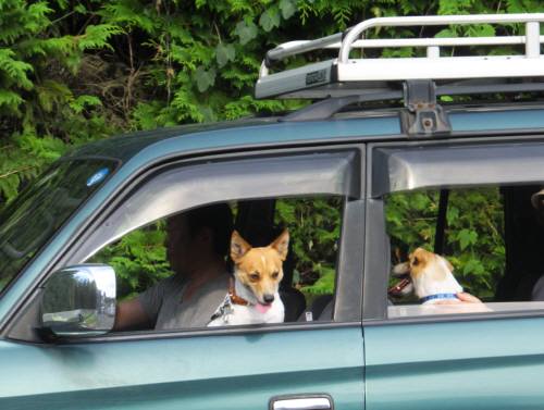 2014_08038-3ふたり