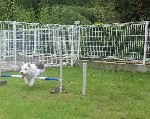 2014_08118-11モモジャンプ