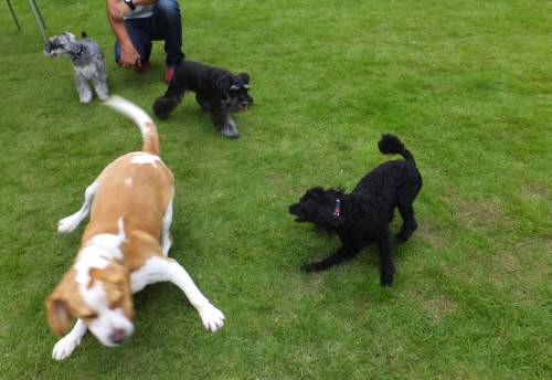 2014_08318-27ムサシウルー