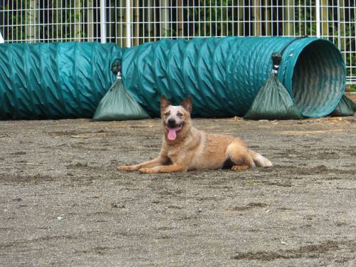 2014_08178-15てぃき２