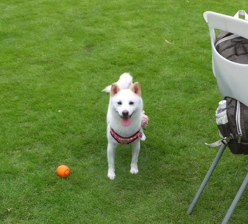 2014_08178-15みおり