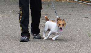 2014_08298-25チャッピー