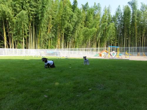 2014_08038-3クレアルネア