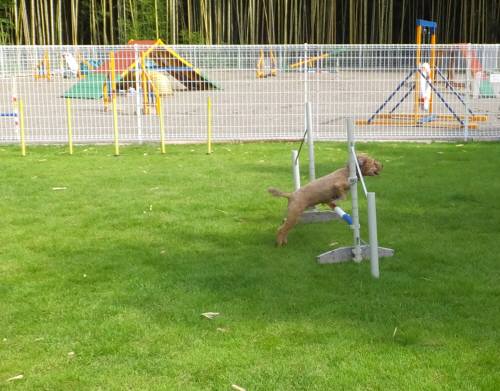 2014_08248-21かーるくん