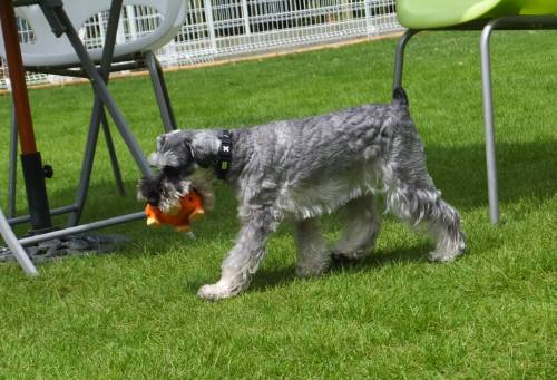 2014_08258-23クレア