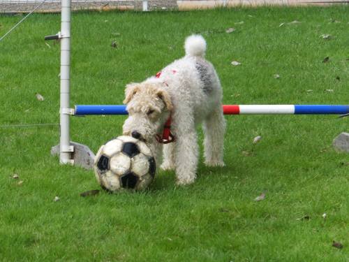 2014_08238-20ぱらおちゃん