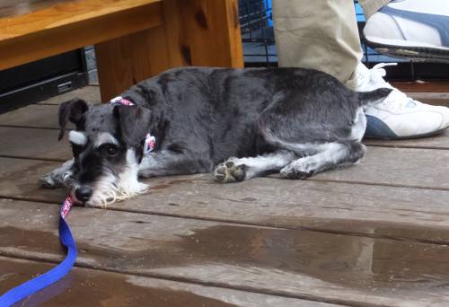 2014_08178-15むっく２