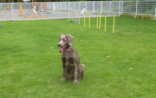 2014_08178-15きらら